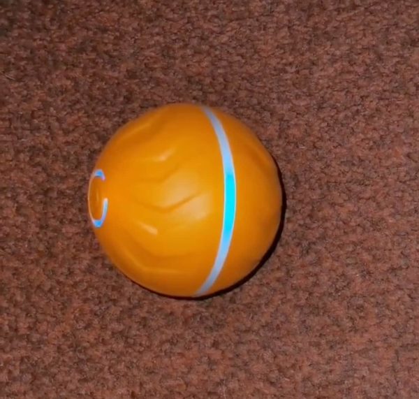 Review image for 4291