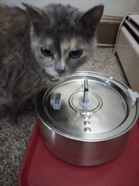 Review image for 3195