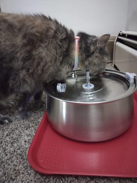 Review image for 3195