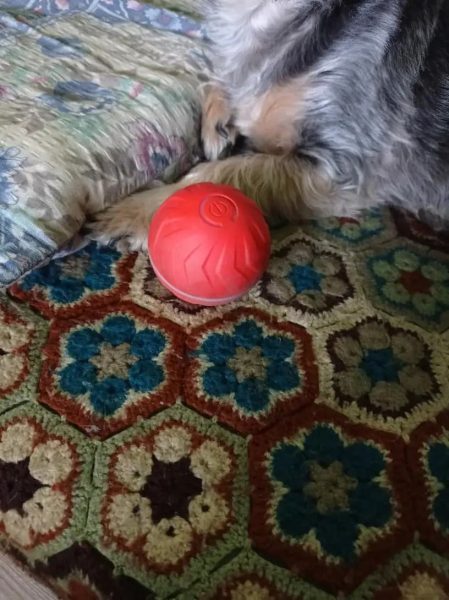 Review image for 4291