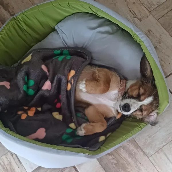 Review image for 4224