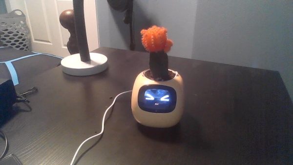 Review image for 6594